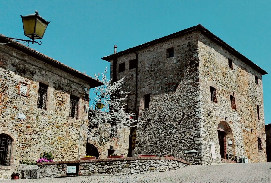 The experience at the Etruscan Museum of Murlo